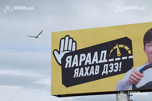 Зургаан сарын хугацаанд 461 автомашин онхолдож, 185 хүн амиа алджээ